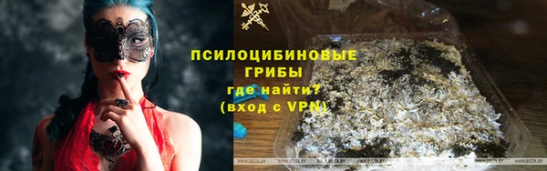 мдпв Пересвет