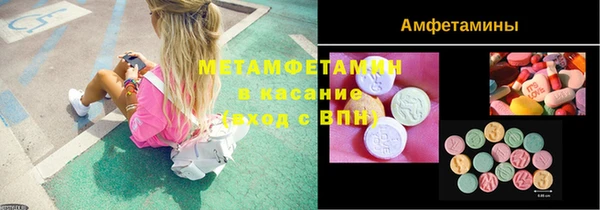 прущие грибы Пестово