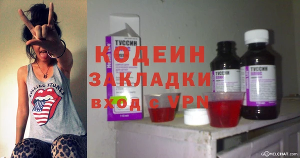 прущие грибы Пестово