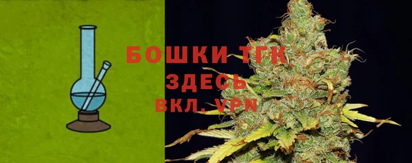 прущие грибы Пестово