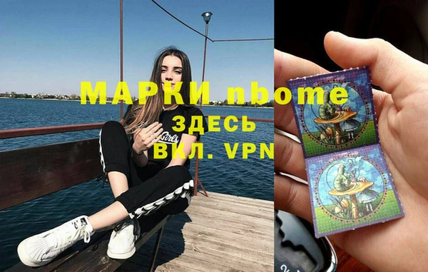 прущие грибы Пестово