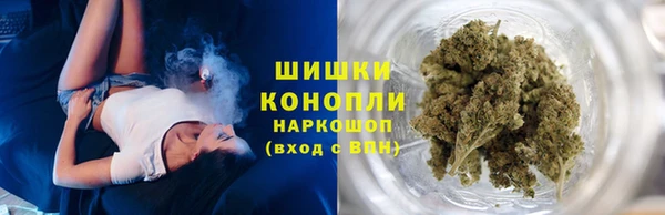 прущие грибы Пестово