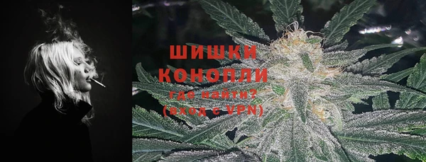 прущие грибы Пестово