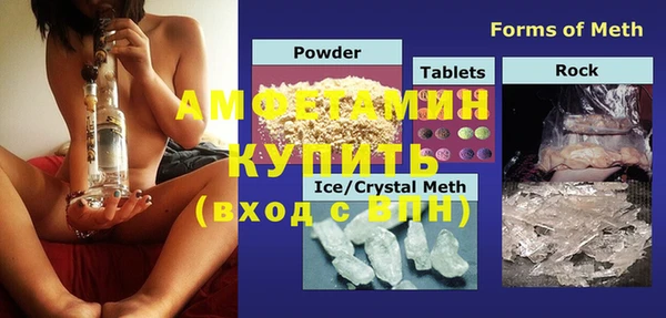 прущие грибы Пестово