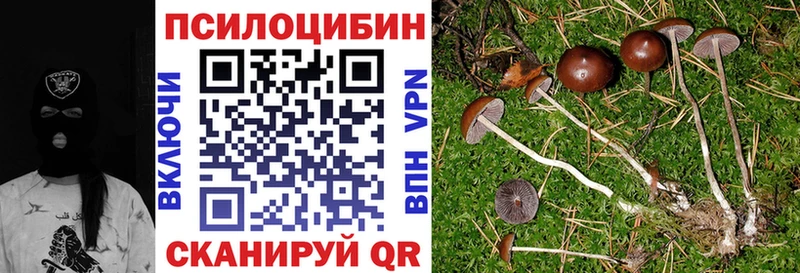 Купить  Сковородино  Галлюциногенные грибы GOLDEN TEACHER 